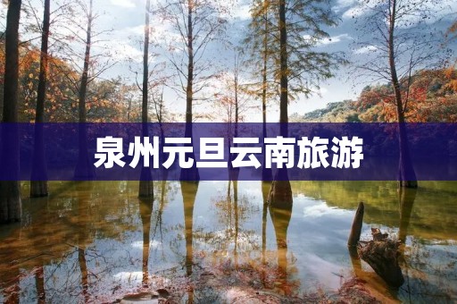 泉州元旦云南旅游