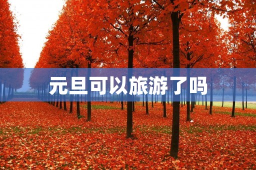元旦可以旅游了吗