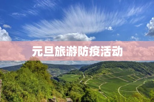 元旦旅游防疫活动