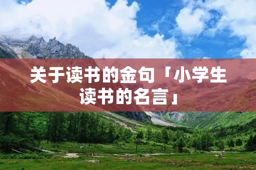 关于读书的金句「小学生读书的名言」