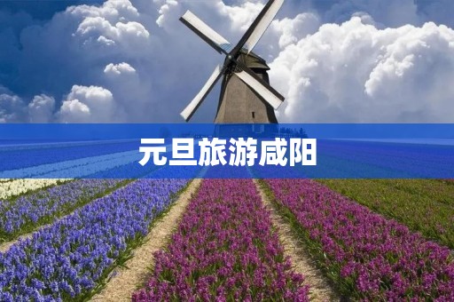 元旦旅游咸阳