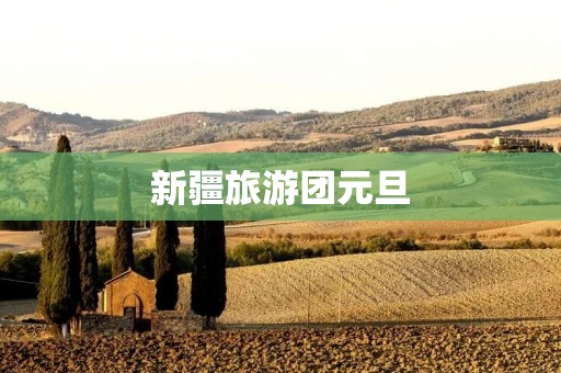 新疆旅游团元旦