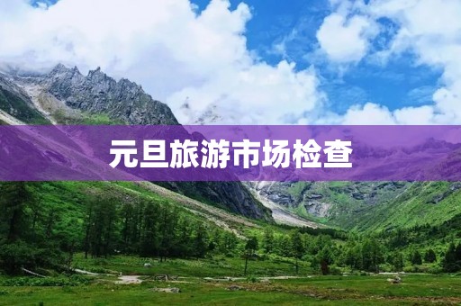 元旦旅游市场检查