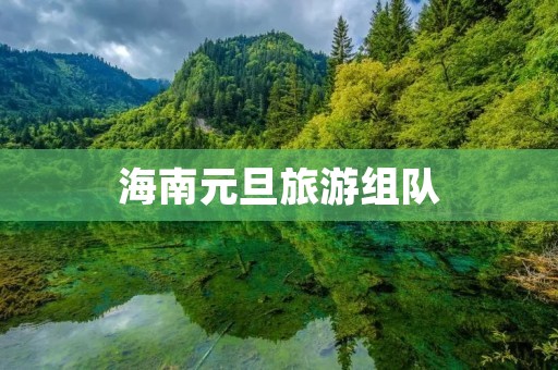 海南元旦旅游组队