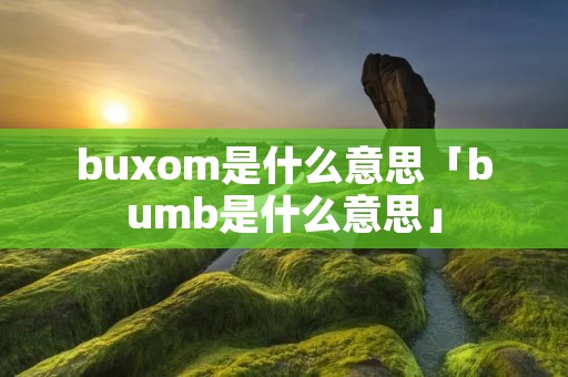 buxom是什么意思「bumb是什么意思」