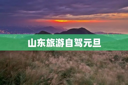 山东旅游自驾元旦