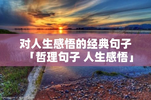 对人生感悟的经典句子「哲理句子 人生感悟」