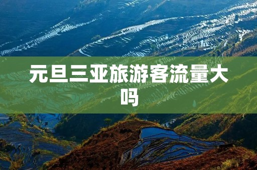 元旦三亚旅游客流量大吗