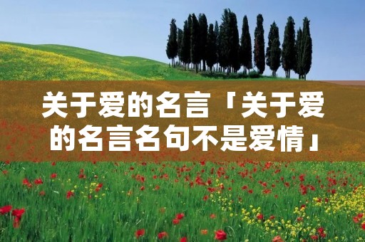 关于爱的名言「关于爱的名言名句不是爱情」