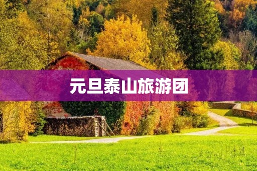 元旦泰山旅游团