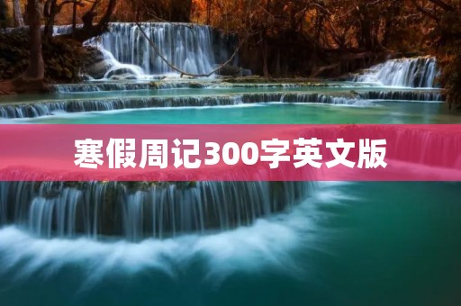寒假周记300字英文版