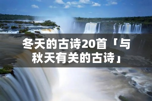 冬天的古诗20首「与秋天有关的古诗」
