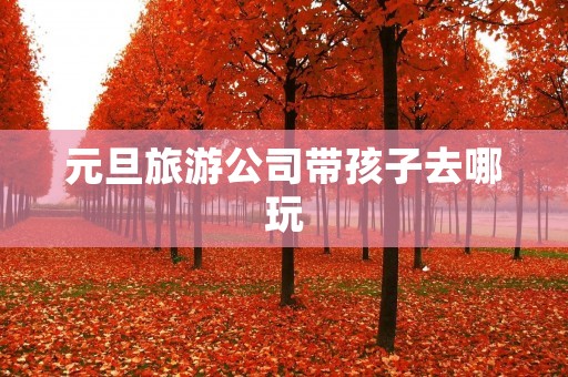 元旦旅游公司带孩子去哪玩