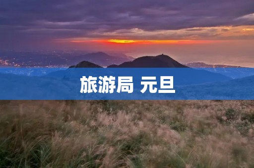 旅游局 元旦