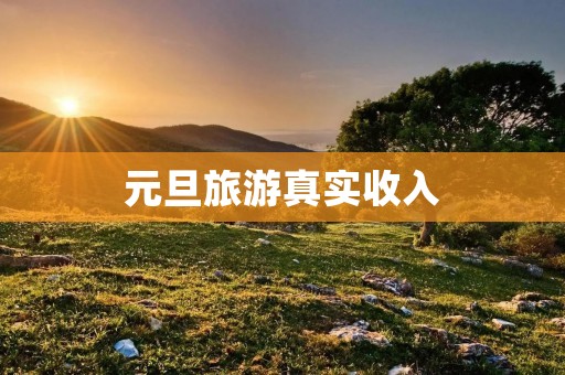 元旦旅游真实收入
