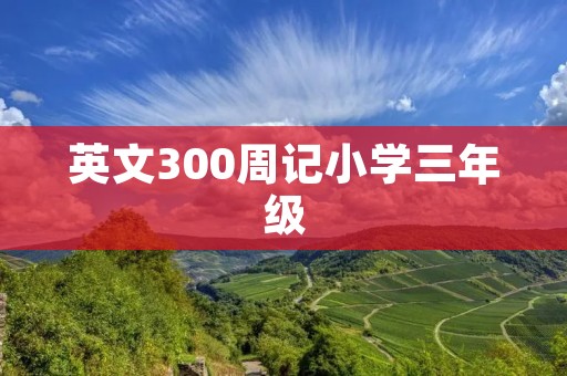 英文300周记小学三年级