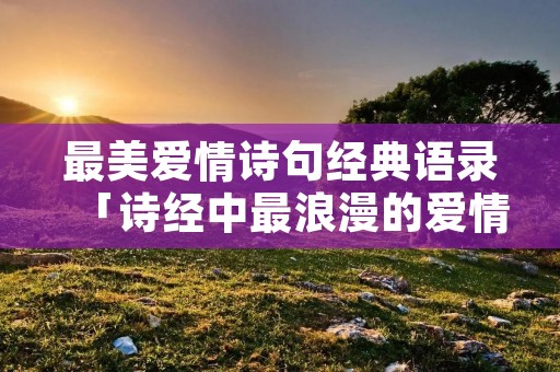 最美爱情诗句经典语录「诗经中最浪漫的爱情句子」