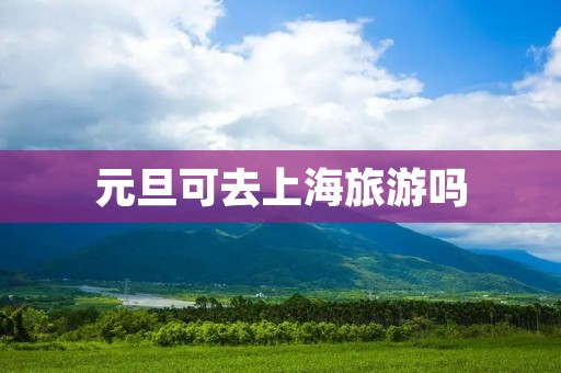 元旦可去上海旅游吗