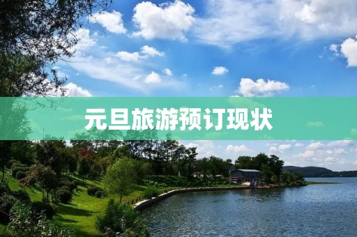 元旦旅游预订现状