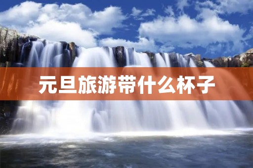 元旦旅游带什么杯子