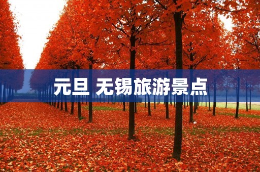 元旦 无锡旅游景点