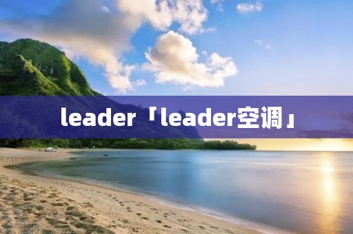 leader「leader空调」