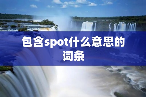 包含spot什么意思的词条