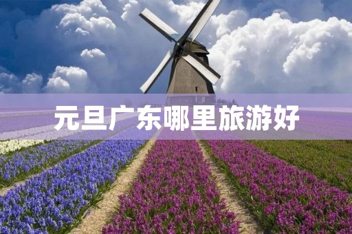 元旦广东哪里旅游好