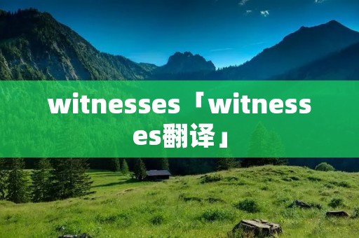 witnesses「witnesses翻译」