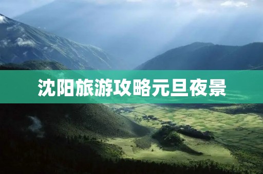 沈阳旅游攻略元旦夜景