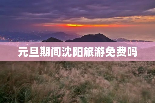 元旦期间沈阳旅游免费吗