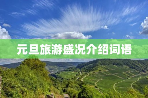 元旦旅游盛况介绍词语