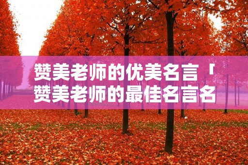 赞美老师的优美名言「赞美老师的最佳名言名句」