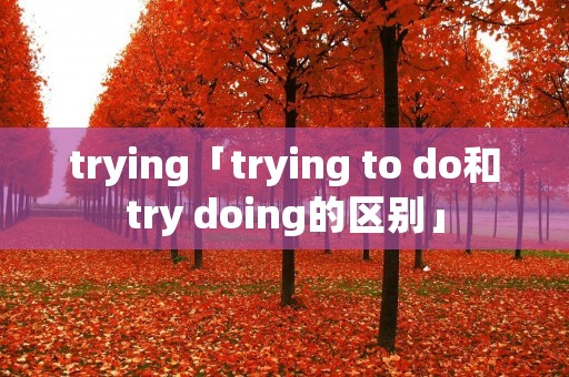trying「trying to do和try doing的区别」