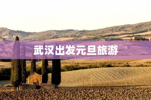 武汉出发元旦旅游