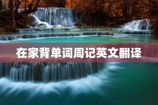在家背单词周记英文翻译
