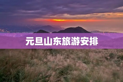 元旦山东旅游安排