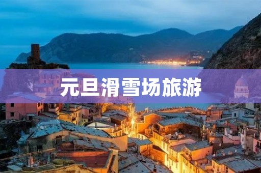 元旦滑雪场旅游
