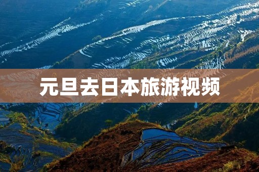元旦去日本旅游视频