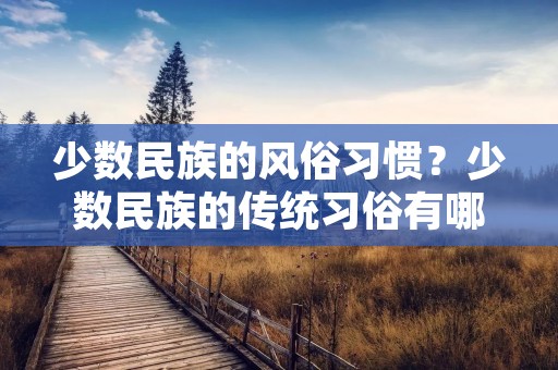 少数民族的风俗习惯？少数民族的传统习俗有哪些