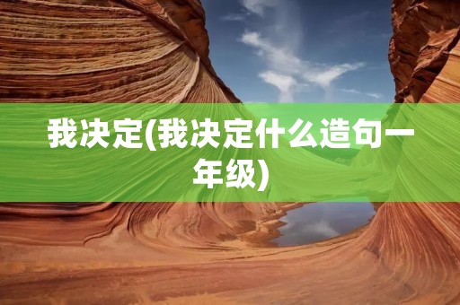 我决定(我决定什么造句一年级)