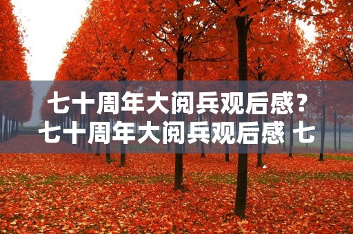 七十周年大阅兵观后感？七十周年大阅兵观后感 七十周年大阅兵观后感范文