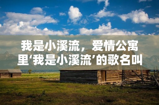 我是小溪流,爱情公寓里‘我是小溪流’的歌名叫什么
