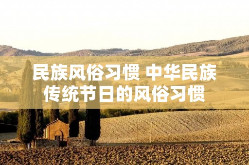 民族风俗习惯 中华民族传统节日的风俗习惯
