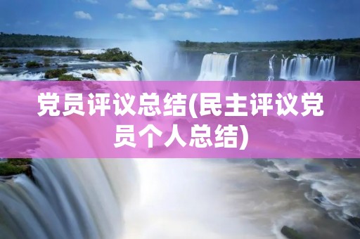 党员评议总结(民主评议党员个人总结) 党员评议总结(民主评议党员个人总结)