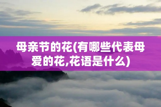 母亲节的花(有哪些代表母爱的花,花语是什么)