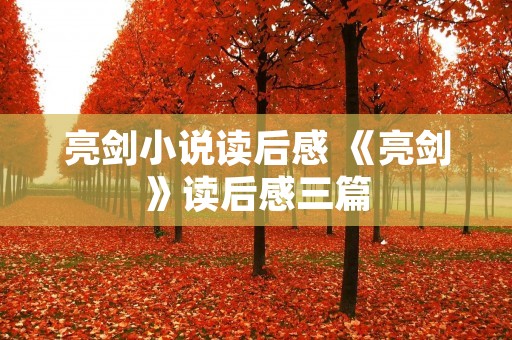 亮剑小说读后感 《亮剑》读后感三篇