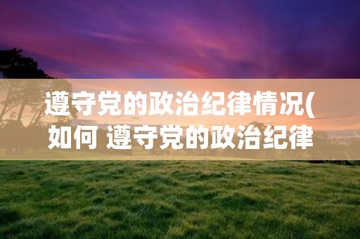 遵守党的政治纪律情况(如何 遵守党的政治纪律,政治规矩和组织纪律)