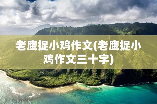 老鹰捉小鸡作文(老鹰捉小鸡作文三十字)