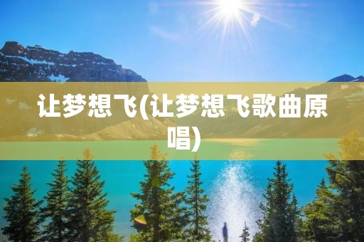 让梦想飞(让梦想飞歌曲原唱)
